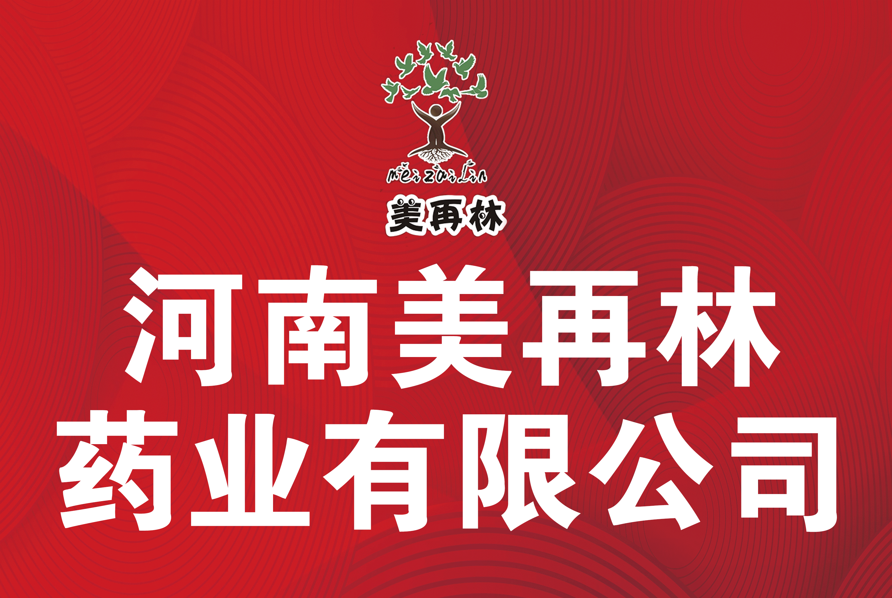 河南美再林药业有限公司